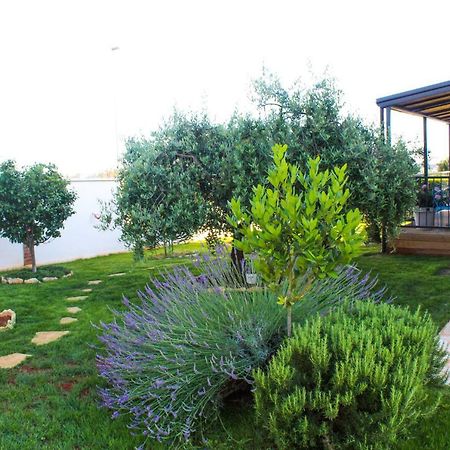 Apartments Lila Novigrad Istria 外观 照片